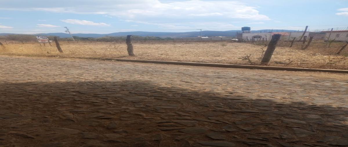 Foto de terreno habitacional en venta en  , chiquilistlan, chiquilistlán, jalisco, 26731821 No. 04