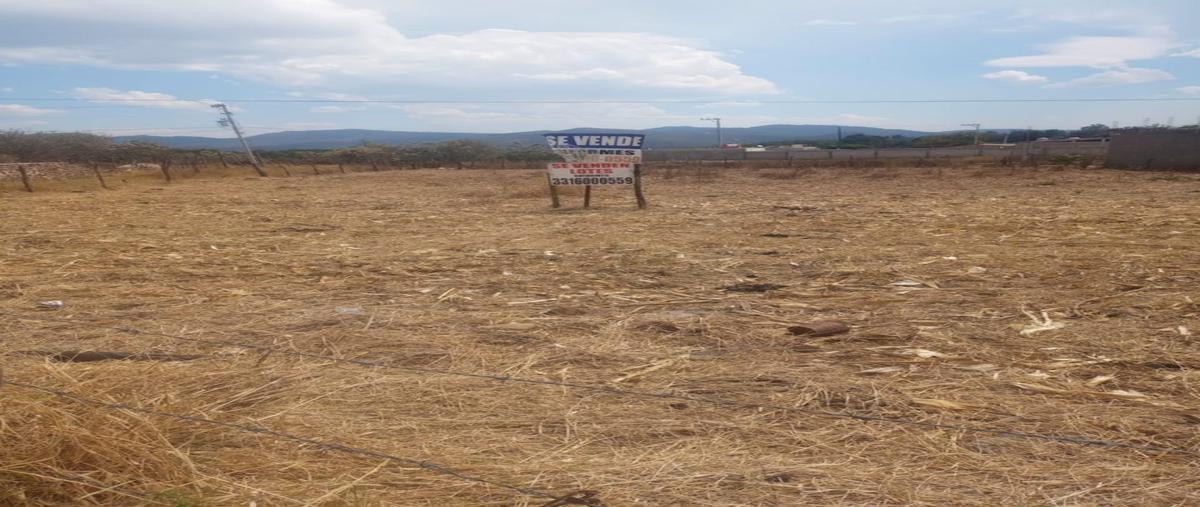 Foto de terreno habitacional en venta en  , chiquilistlan, chiquilistlán, jalisco, 26731822 No. 04