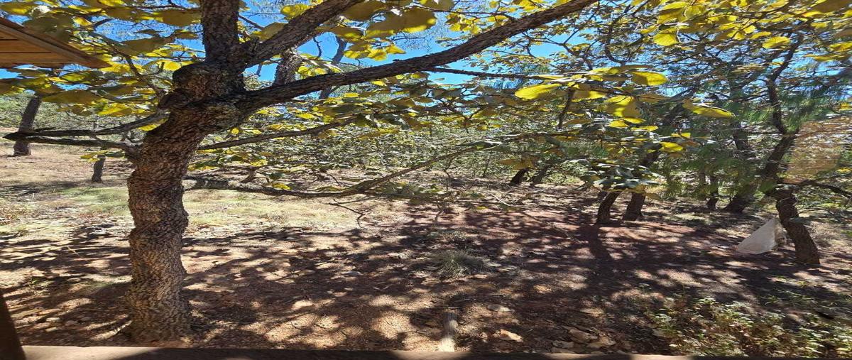 Foto de terreno habitacional en venta en  , chiquilistlan, chiquilistlán, jalisco, 29727414 No. 03