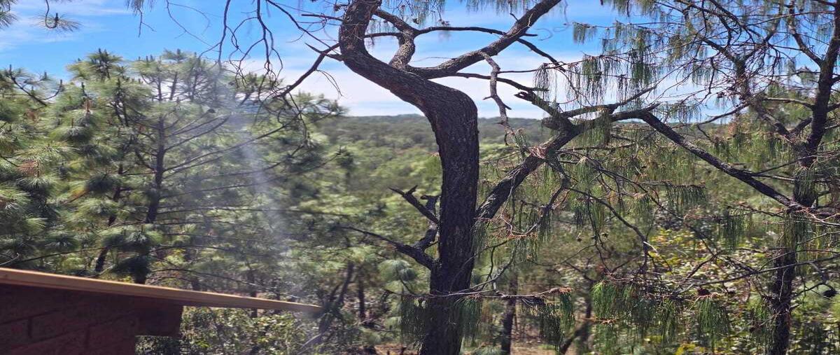 Foto de terreno habitacional en venta en  , chiquilistlan, chiquilistlán, jalisco, 29727414 No. 05