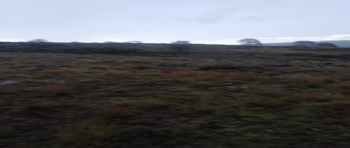Foto de terreno habitacional en venta en  , chitejé de la cruz, amealco de bonfil, querétaro, 18859022 No. 03