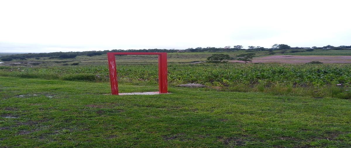 Foto de terreno habitacional en venta en  , chitejé de la cruz, amealco de bonfil, querétaro, 27271019 No. 03