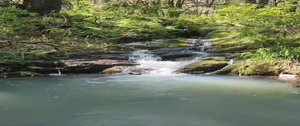 Foto de terreno habitacional en chitejé de la cruz , el batán, amealco de bonfil, querétaro, 0 foto 01 Foto de terreno habitacional en venta en chitejé de la cruz , el batán, amealco de bonfil, querétaro, 0 No. 01