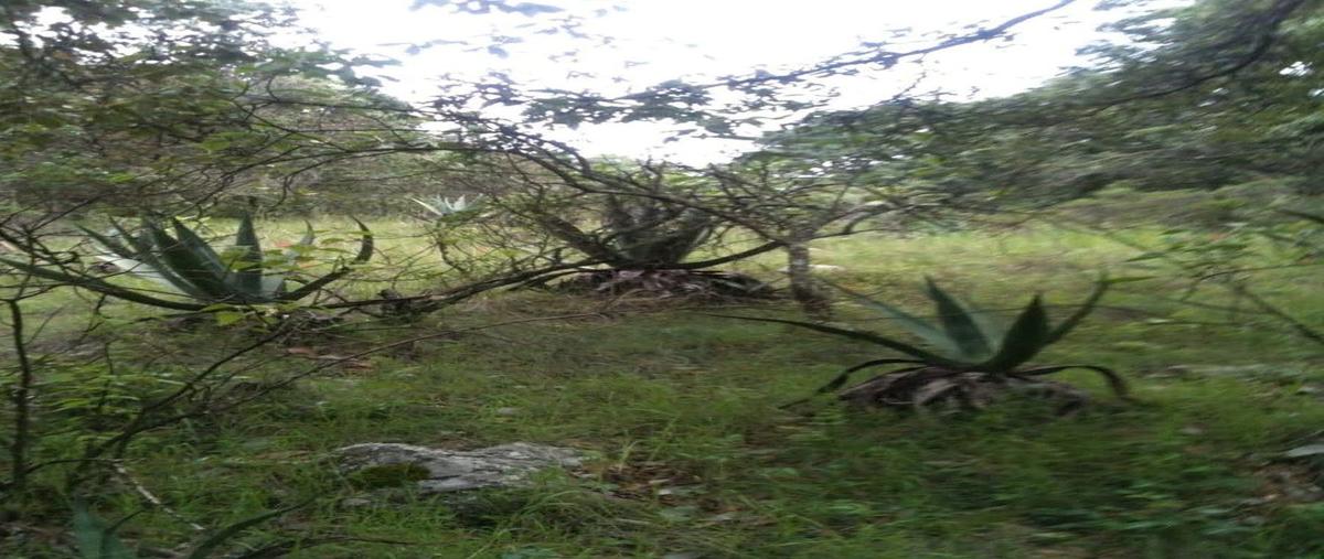 Foto de terreno habitacional en chitejé de la cruz , el batán, amealco de bonfil, querétaro, 0 foto 07 Foto de terreno habitacional en venta en chitejé de la cruz , el batán, amealco de bonfil, querétaro, 0 No. 07