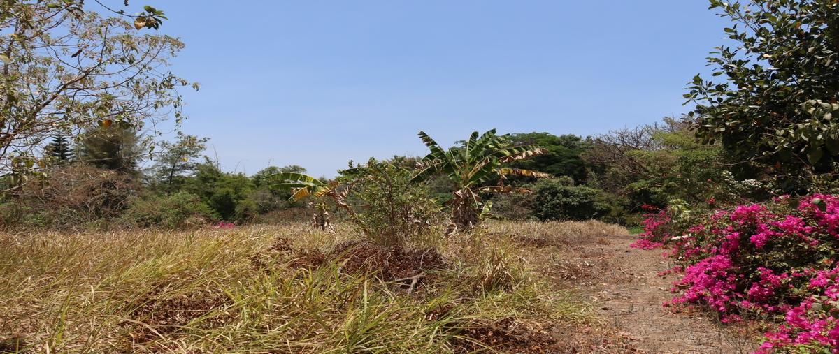 Foto de terreno habitacional en , chivato, villa de álvarez, colima, 27034914 foto 05 Foto de terreno habitacional en venta en , chivato, villa de álvarez, colima, 27034914 No. 05