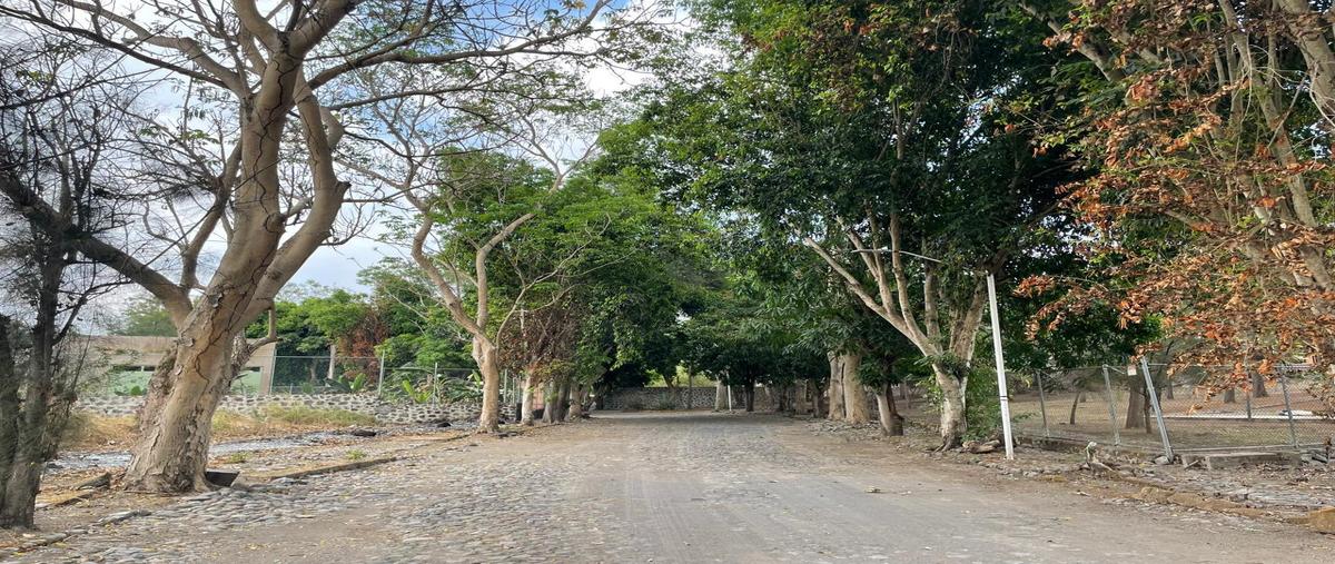 Foto de terreno habitacional en venta en  , chivato, villa de álvarez, colima, 0 No. 03