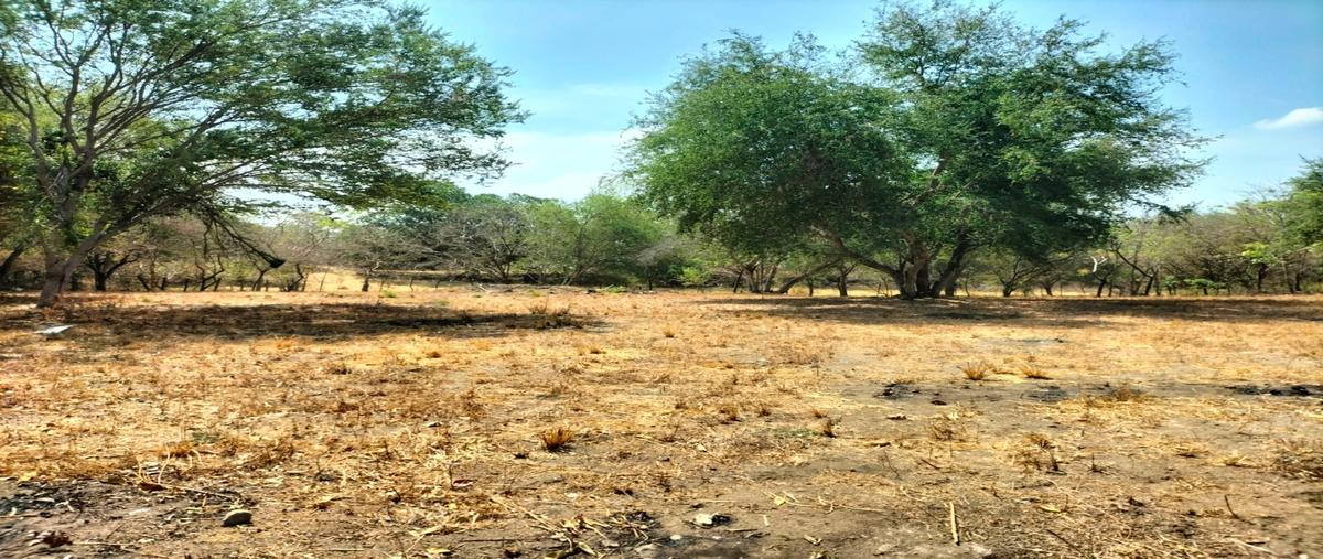 Foto de terreno habitacional en , chivato, villa de álvarez, colima, 0 foto 01 Foto de terreno habitacional en venta en , chivato, villa de álvarez, colima, 0 No. 01