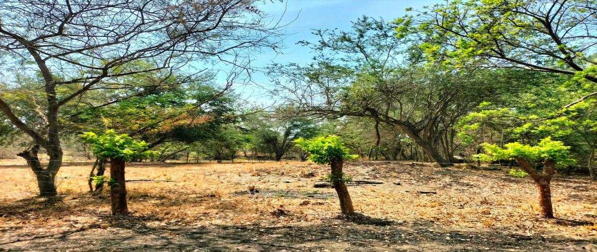 Foto de terreno habitacional en , chivato, villa de álvarez, colima, 0 foto 02 Foto de terreno habitacional en venta en , chivato, villa de álvarez, colima, 0 No. 02