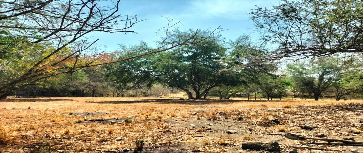 Foto de terreno habitacional en , chivato, villa de álvarez, colima, 0 foto 03 Foto de terreno habitacional en venta en , chivato, villa de álvarez, colima, 0 No. 03