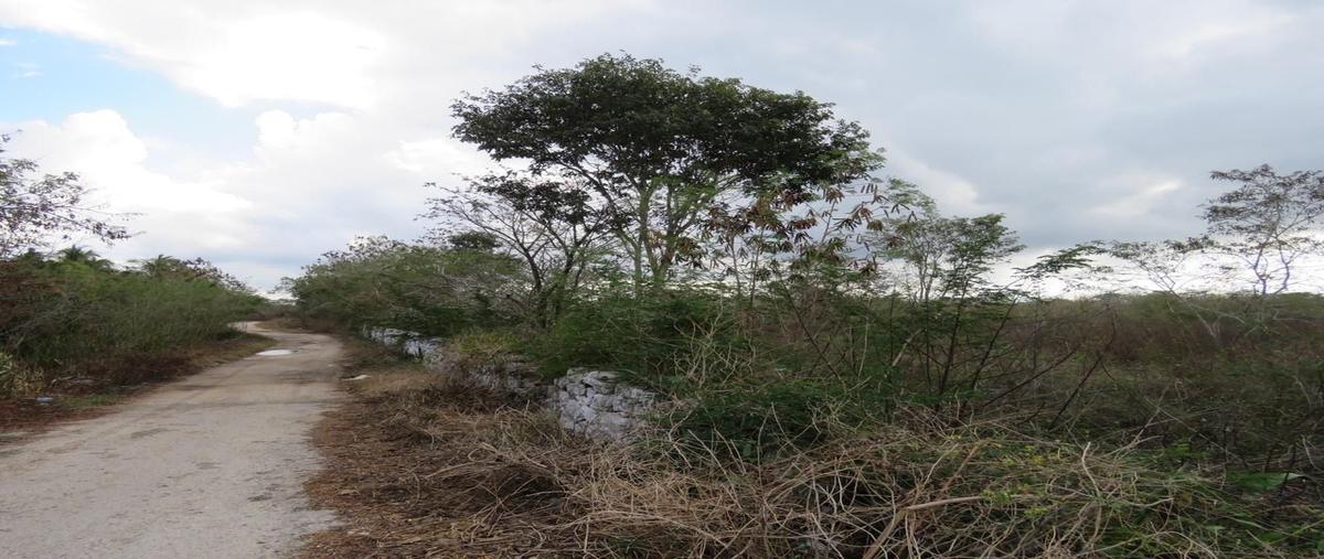 Foto de terreno habitacional en venta en chochola whi9258, chochola, chocholá, yucatán, 15477026 No. 03