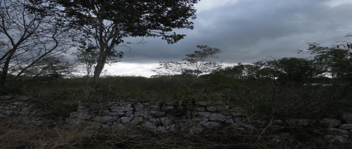 Foto de terreno habitacional en venta en chochola whi9258, chochola, chocholá, yucatán, 15477026 No. 04