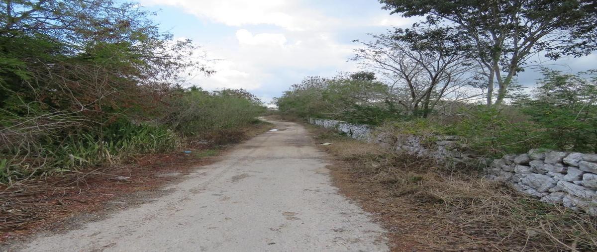 Foto de terreno habitacional en venta en chochola whi9258, chochola, chocholá, yucatán, 15477026 No. 05