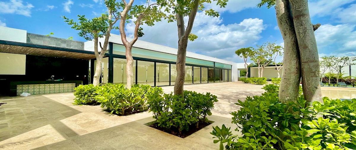 Foto de terreno habitacional en venta en cholul 19 , cholul, mérida, yucatán, 30247876 No. 03