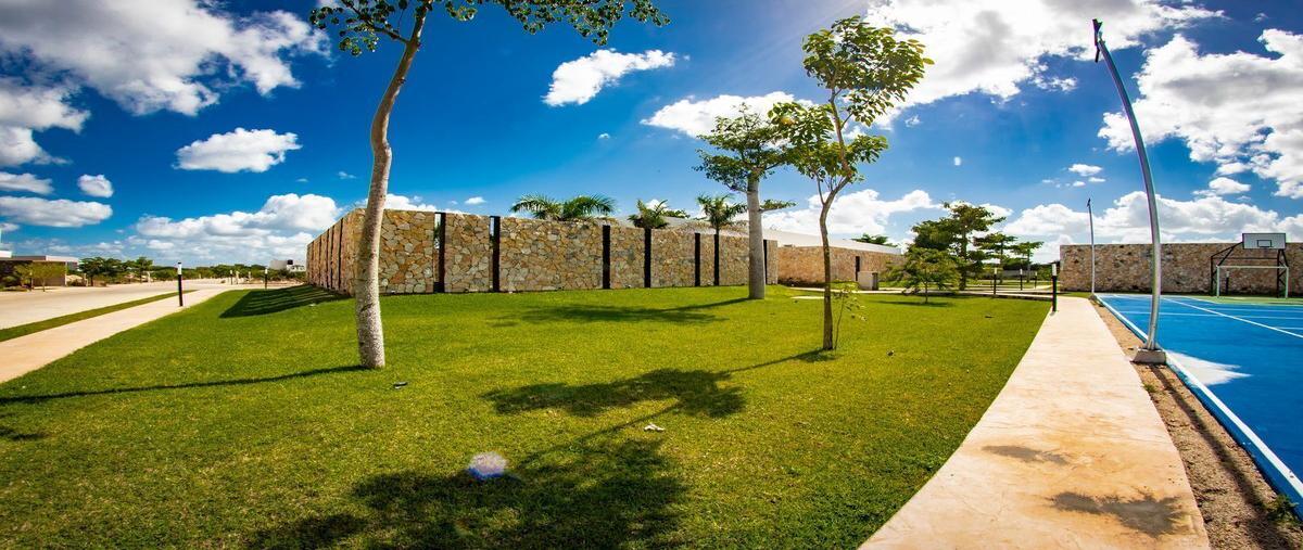 Foto de terreno habitacional en venta en cholul , cholul, mérida, yucatán, 27451656 No. 03