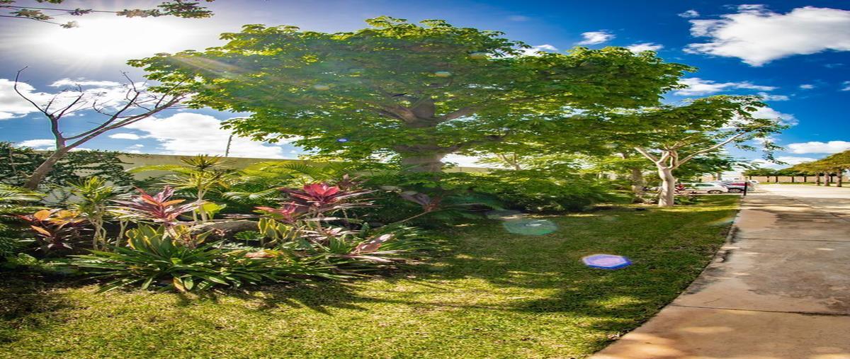 Foto de terreno habitacional en venta en cholul , cholul, mérida, yucatán, 27451656 No. 04