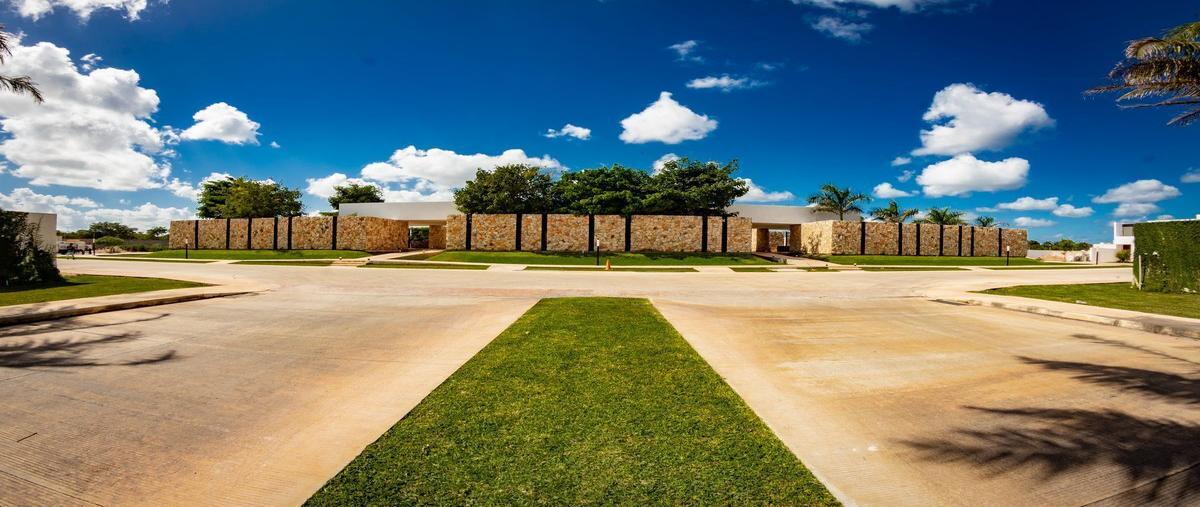 Foto de terreno habitacional en venta en cholul , cholul, mérida, yucatán, 27451656 No. 05