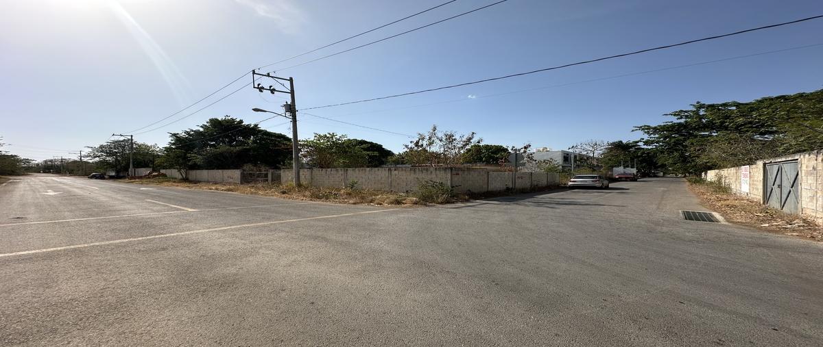 Foto de terreno habitacional en venta en cholul , cholul, mérida, yucatán, 29909622 No. 04