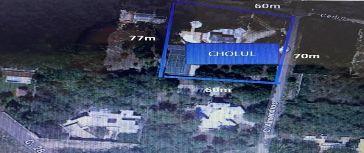 Foto de rancho en cholul , cholul, mérida, yucatán, 0 foto 03 Foto de rancho en venta en cholul , cholul, mérida, yucatán, 0 No. 03