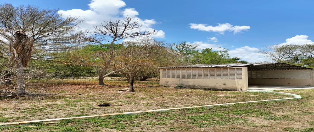 Foto de rancho en cholul , cholul, mérida, yucatán, 0 foto 05 Foto de rancho en venta en cholul , cholul, mérida, yucatán, 0 No. 05