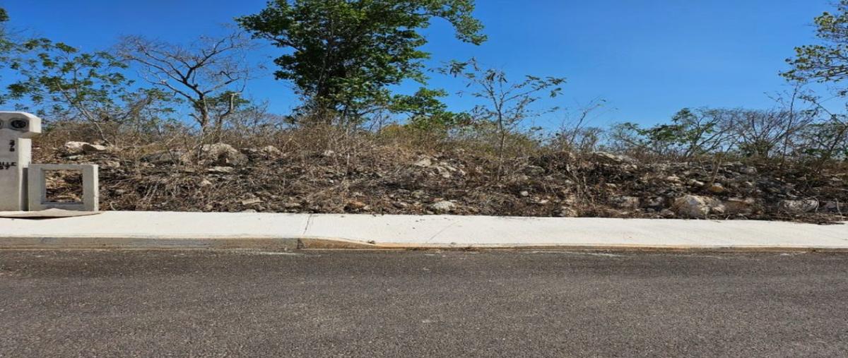 Foto de terreno habitacional en venta en cholul , cholul, mérida, yucatán, 0 No. 03