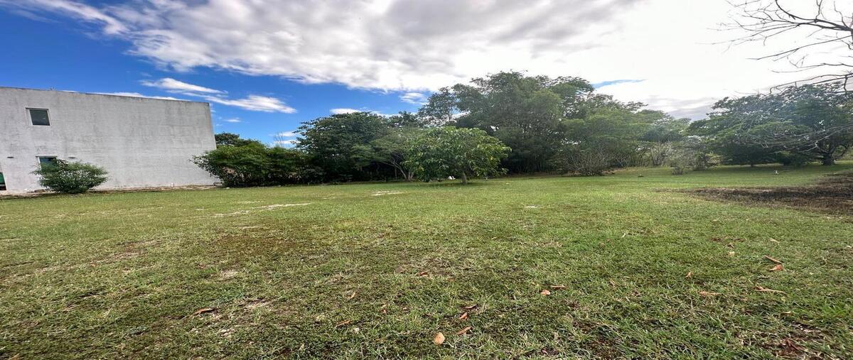 Foto de terreno habitacional en venta en cholul , cholul, mérida, yucatán, 0 No. 04