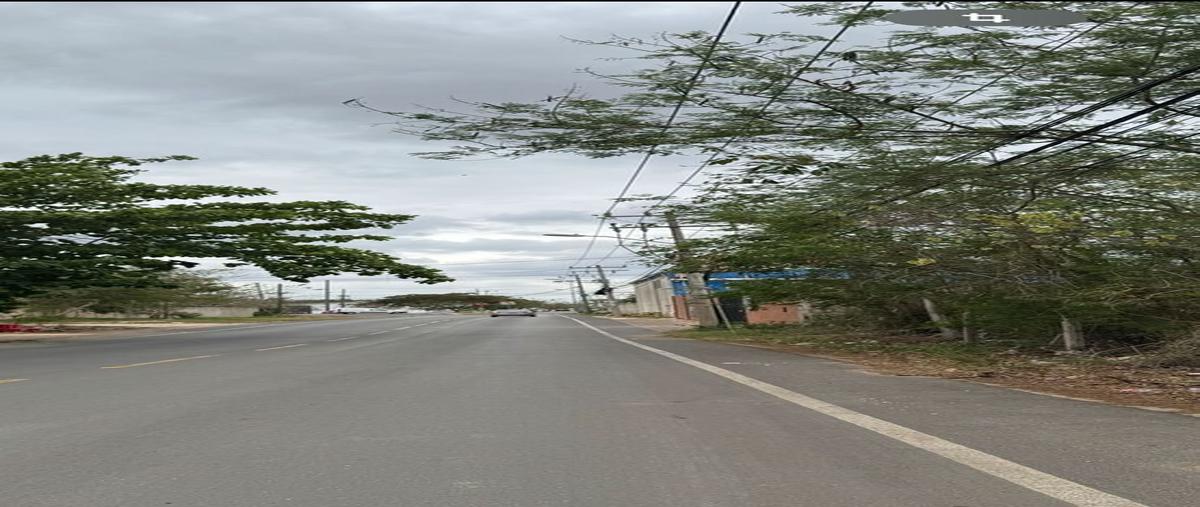 Foto de terreno habitacional en venta en cholul , cholul, mérida, yucatán, 0 No. 04