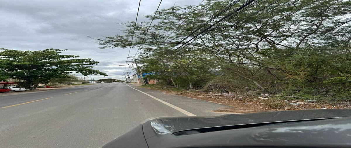 Foto de terreno habitacional en venta en cholul , cholul, mérida, yucatán, 0 No. 05