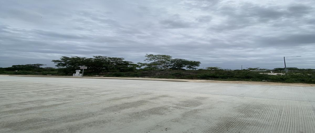Foto de terreno habitacional en venta en cholul , cholul, mérida, yucatán, 0 No. 03