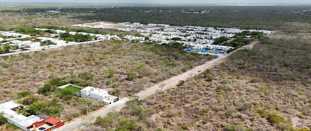 Foto de terreno habitacional en venta en cholul , cholul, mérida, yucatán, 30687689 No. 04