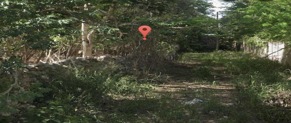 Foto de terreno habitacional en cholul , cholul, mérida, yucatán, 0 foto 02 Foto de terreno habitacional en venta en cholul , cholul, mérida, yucatán, 0 No. 02