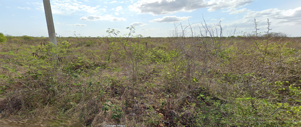 Foto de terreno habitacional en venta en cholul , cholul, mérida, yucatán, 0 No. 03