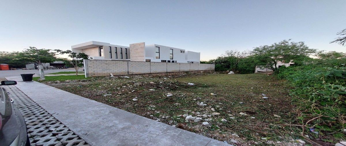 Foto de terreno habitacional en cholul , cholul, mérida, yucatán, 0 foto 03 Foto de terreno habitacional en venta en cholul , cholul, mérida, yucatán, 0 No. 03