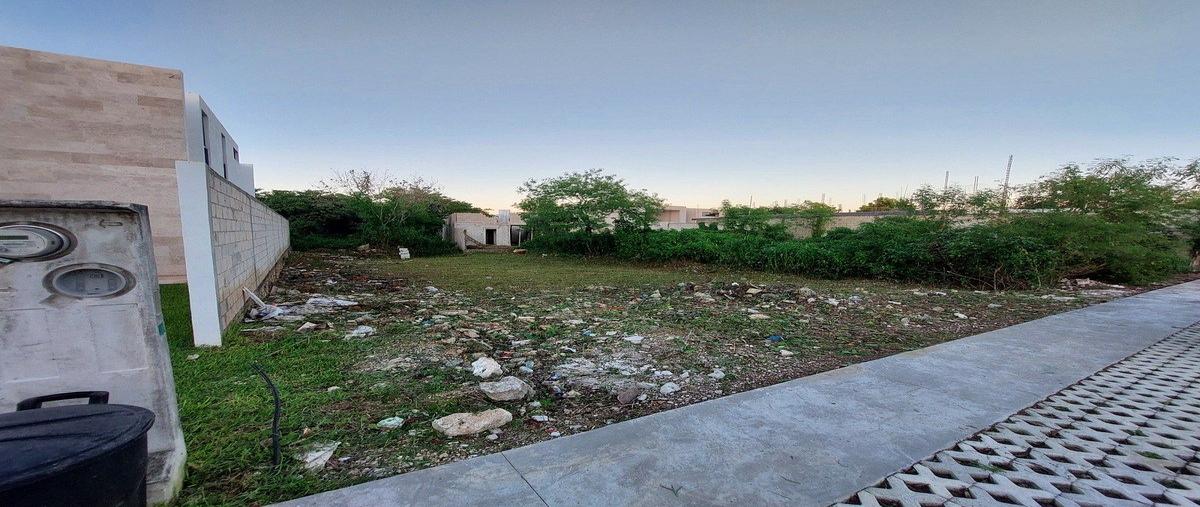 Foto de terreno habitacional en cholul , cholul, mérida, yucatán, 0 foto 05 Foto de terreno habitacional en venta en cholul , cholul, mérida, yucatán, 0 No. 05