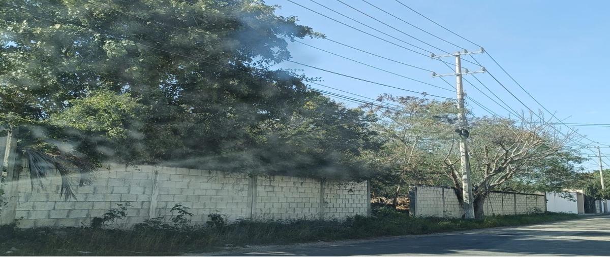 Foto de terreno habitacional en venta en cholul , gran san pedro cholul, mérida, yucatán, 30637173 No. 03