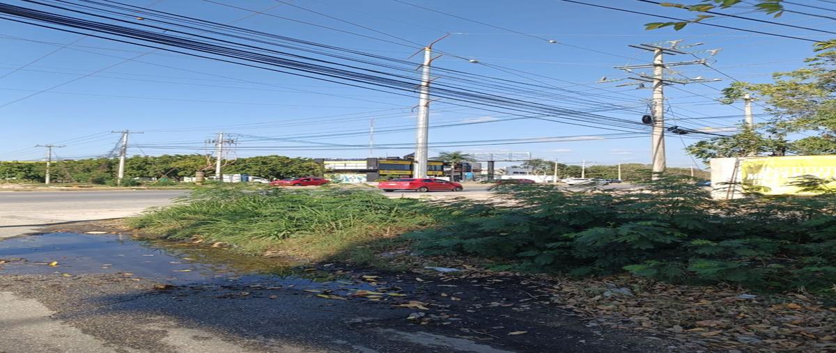 Foto de terreno habitacional en venta en cholul , gran san pedro cholul, mérida, yucatán, 30637173 No. 05