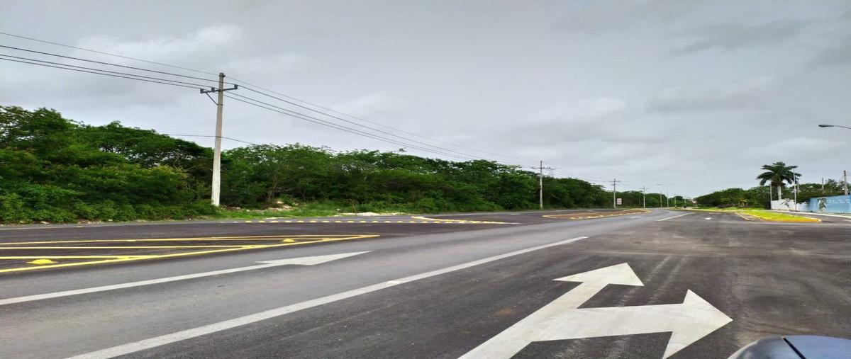 Foto de terreno habitacional en venta en  , cholul, mérida, yucatán, 18646047 No. 04