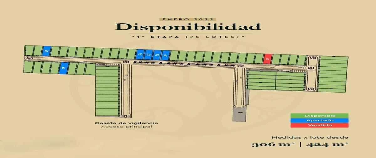 Foto de terreno habitacional en venta en  , cholul, mérida, yucatán, 24055349 No. 05