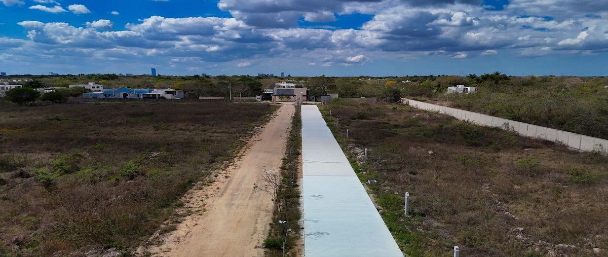 Foto de terreno habitacional en venta en  , cholul, mérida, yucatán, 24067197 No. 03