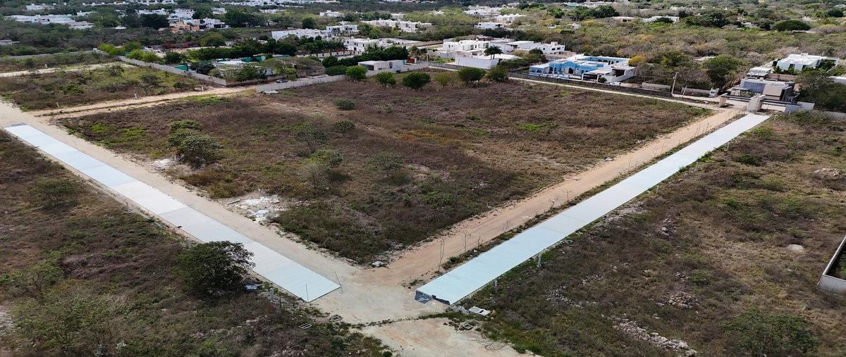 Foto de terreno habitacional en venta en  , cholul, mérida, yucatán, 24067197 No. 04