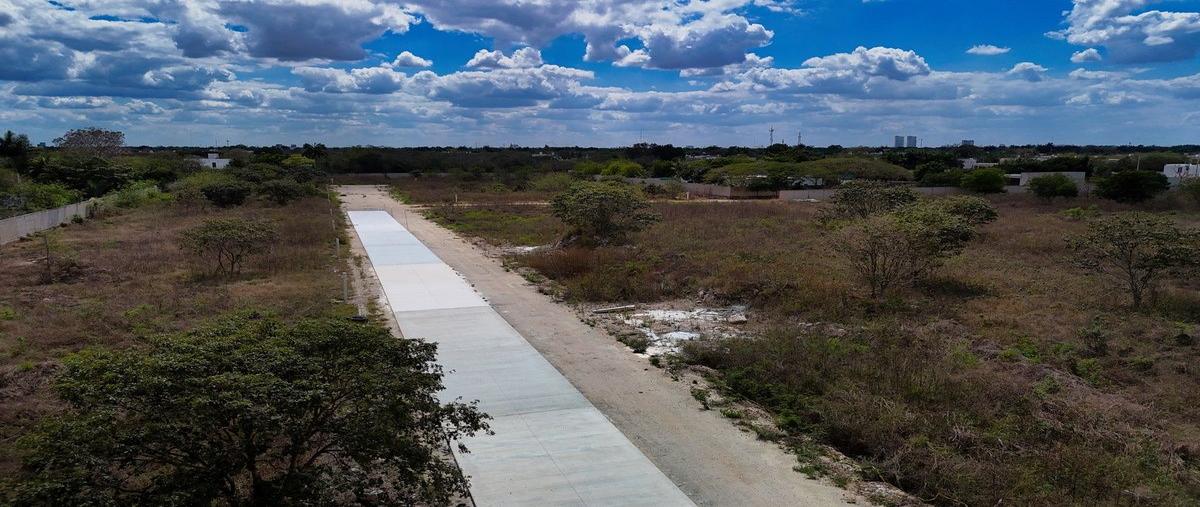 Foto de terreno habitacional en venta en  , cholul, mérida, yucatán, 24067197 No. 05