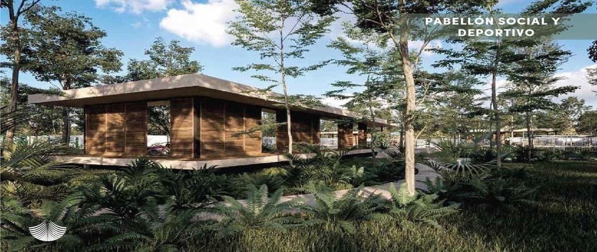 Foto de terreno habitacional en venta en  , cholul, mérida, yucatán, 25685224 No. 03