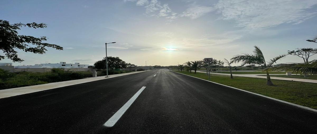 Foto de casa en venta en  , cholul, mérida, yucatán, 25915996 No. 05