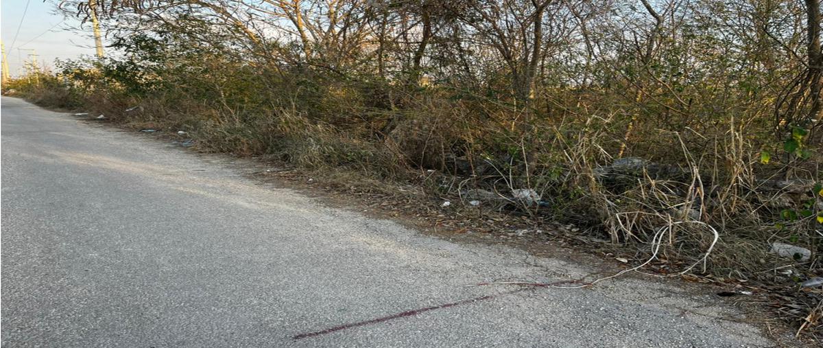 Foto de terreno habitacional en , cholul, mérida, yucatán, 0 foto 03 Foto de terreno habitacional en venta en , cholul, mérida, yucatán, 0 No. 03