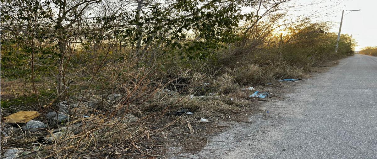 Foto de terreno habitacional en , cholul, mérida, yucatán, 0 foto 05 Foto de terreno habitacional en venta en , cholul, mérida, yucatán, 0 No. 05