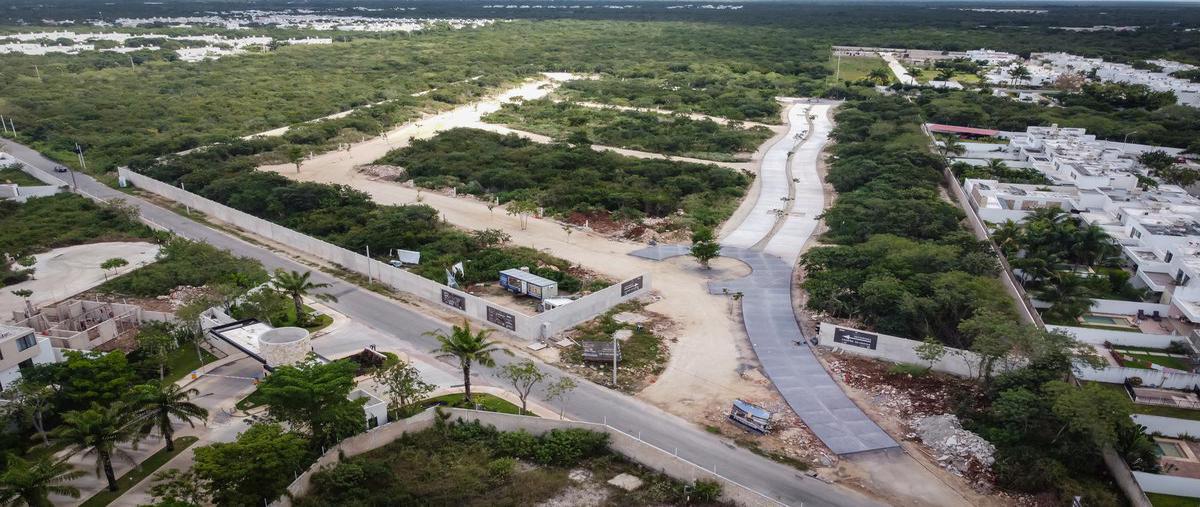 Foto de terreno habitacional en venta en  , cholul, mérida, yucatán, 0 No. 04