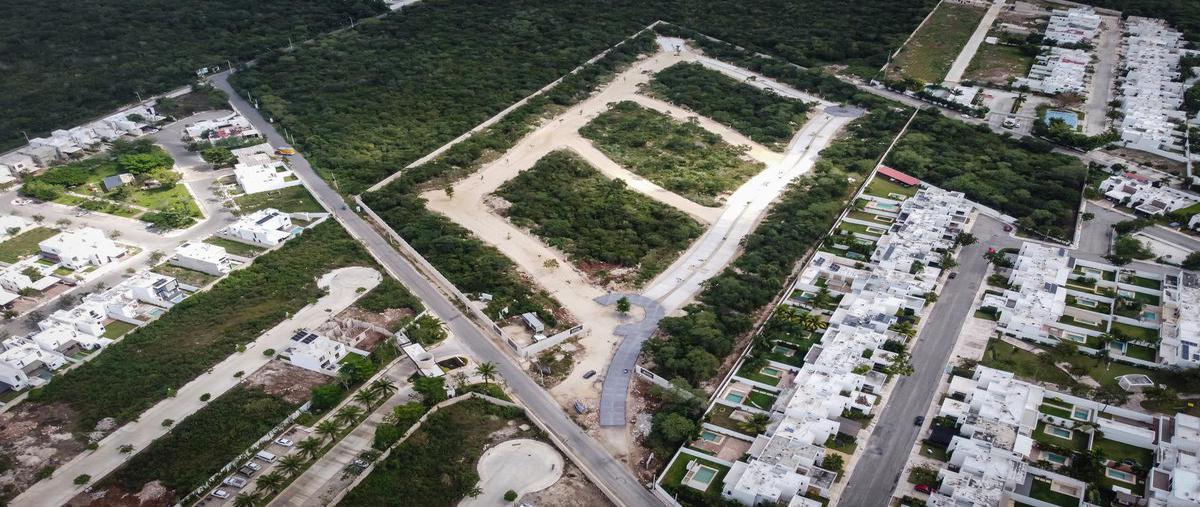 Foto de terreno habitacional en venta en  , cholul, mérida, yucatán, 0 No. 05