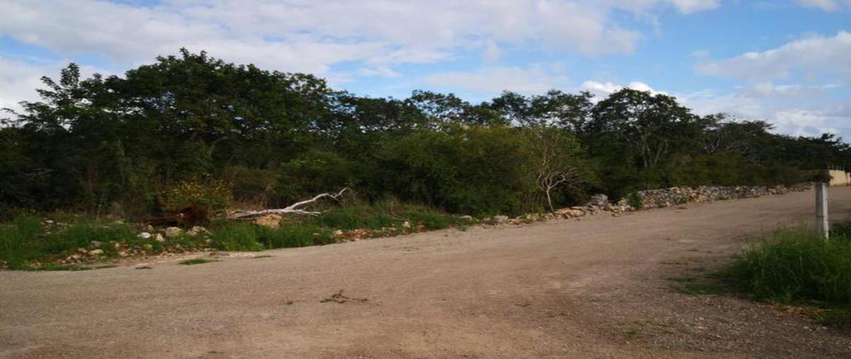 Foto de terreno habitacional en venta en  , cholul, mérida, yucatán, 0 No. 04