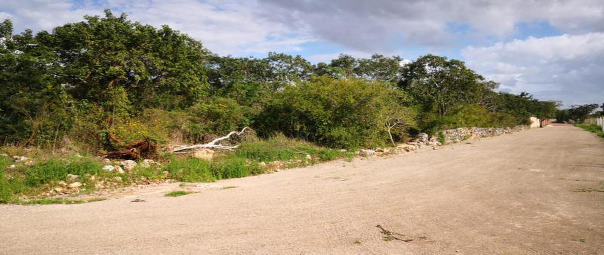 Foto de terreno habitacional en venta en  , cholul, mérida, yucatán, 0 No. 05