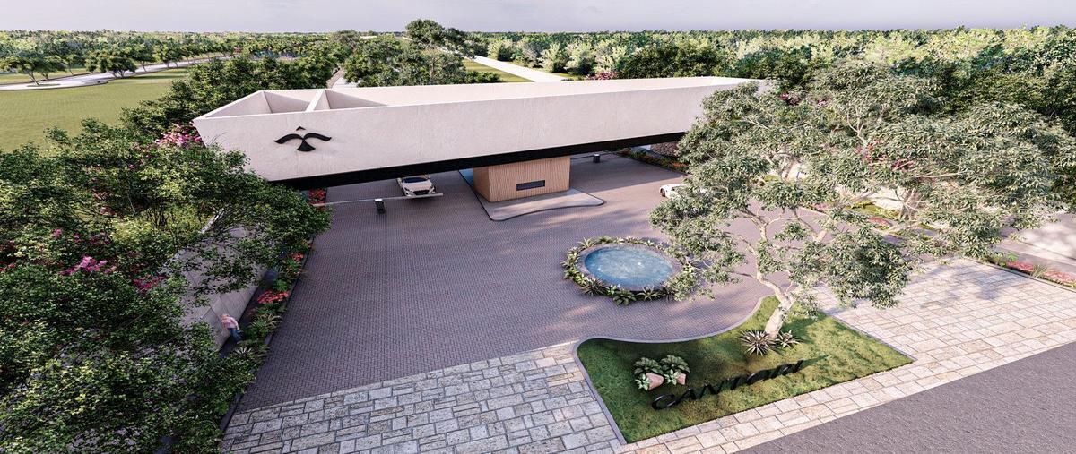 Foto de terreno habitacional en venta en . , cholul, mérida, yucatán, 26446511 No. 04