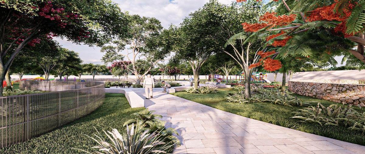 Foto de terreno habitacional en venta en . , cholul, mérida, yucatán, 26446511 No. 05